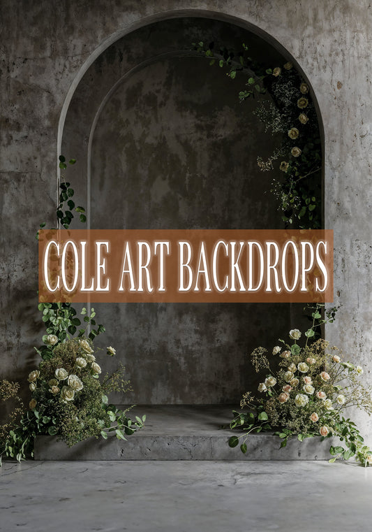 Arcos Terrenales 13, Fondo Impreso, Fondos de Tela, Fondo de Barrido Impreso, Fondos de Fotografía