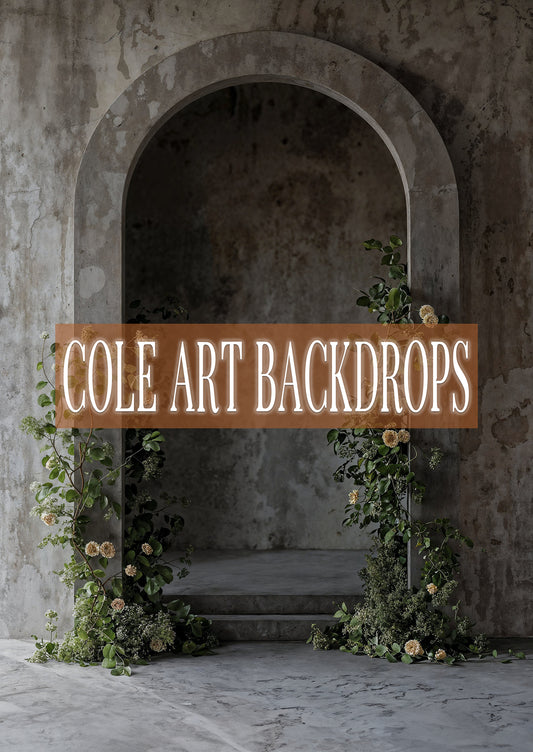 Arcos terrenales 8, fondo impreso, fondos de tela, fondo de barrido impreso, fondos para fotografía