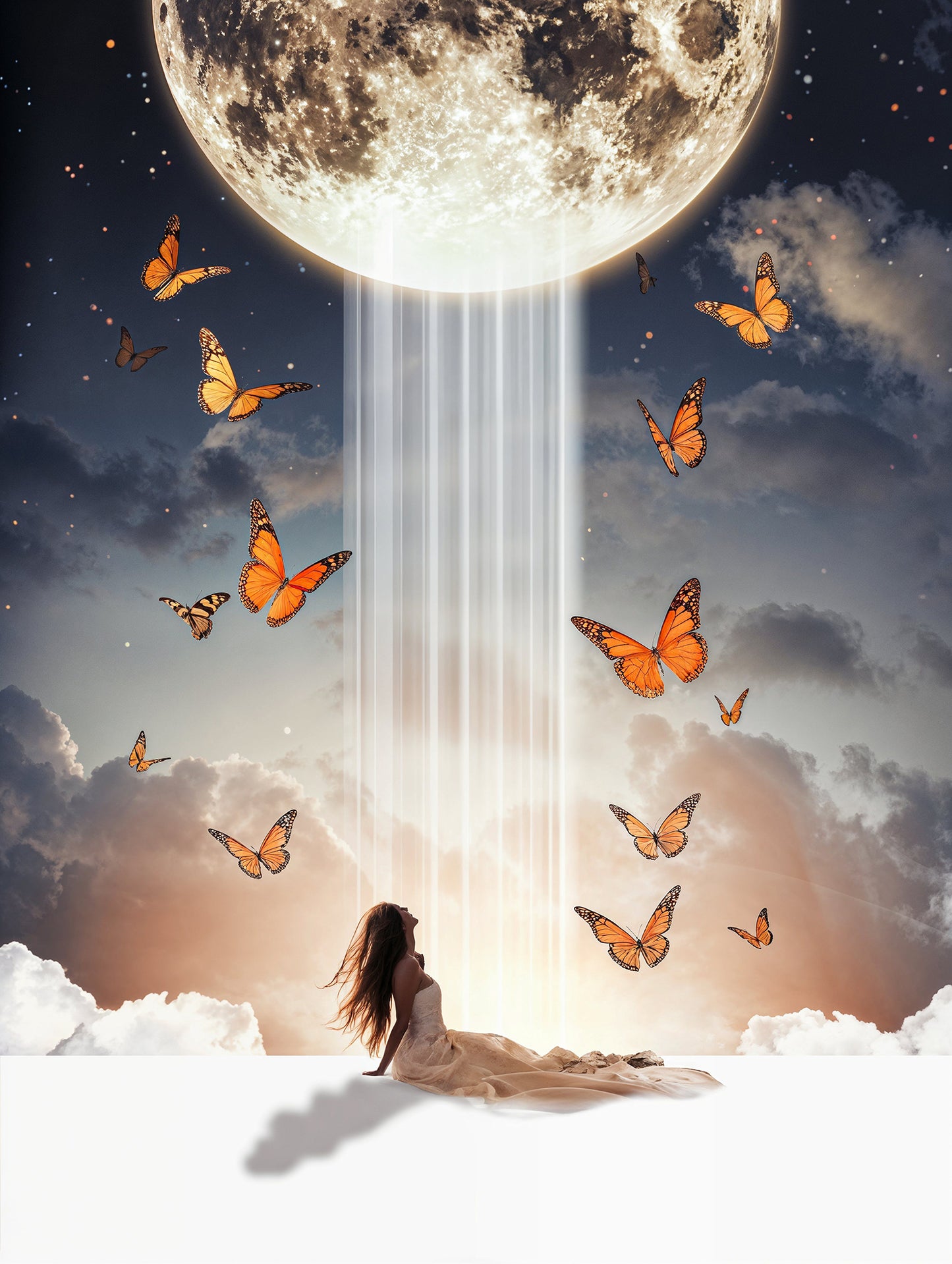 Butterfly Skies Digital Backdrop Set