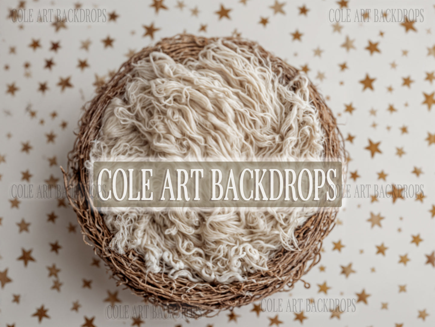 Gold Star Baby 1, Newborn Digital Backdrop, Baby Backdrop