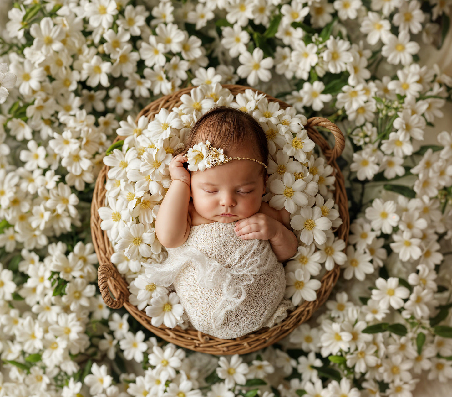 Oh Baby Beige Set, Newborn Digital Backdrops, Newborn Prop, Newborn Backdrops