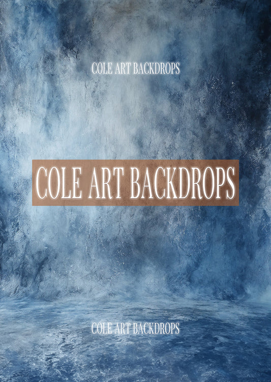 Fondos de estudio 18, fondos impresos, fondos de tela, fondos de barrido impresos, fondos para fotografía