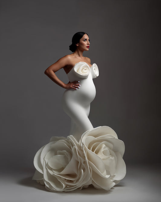 Structured Dress Digital Overlays, Photoshop Overlays, Digital Backdrops Set