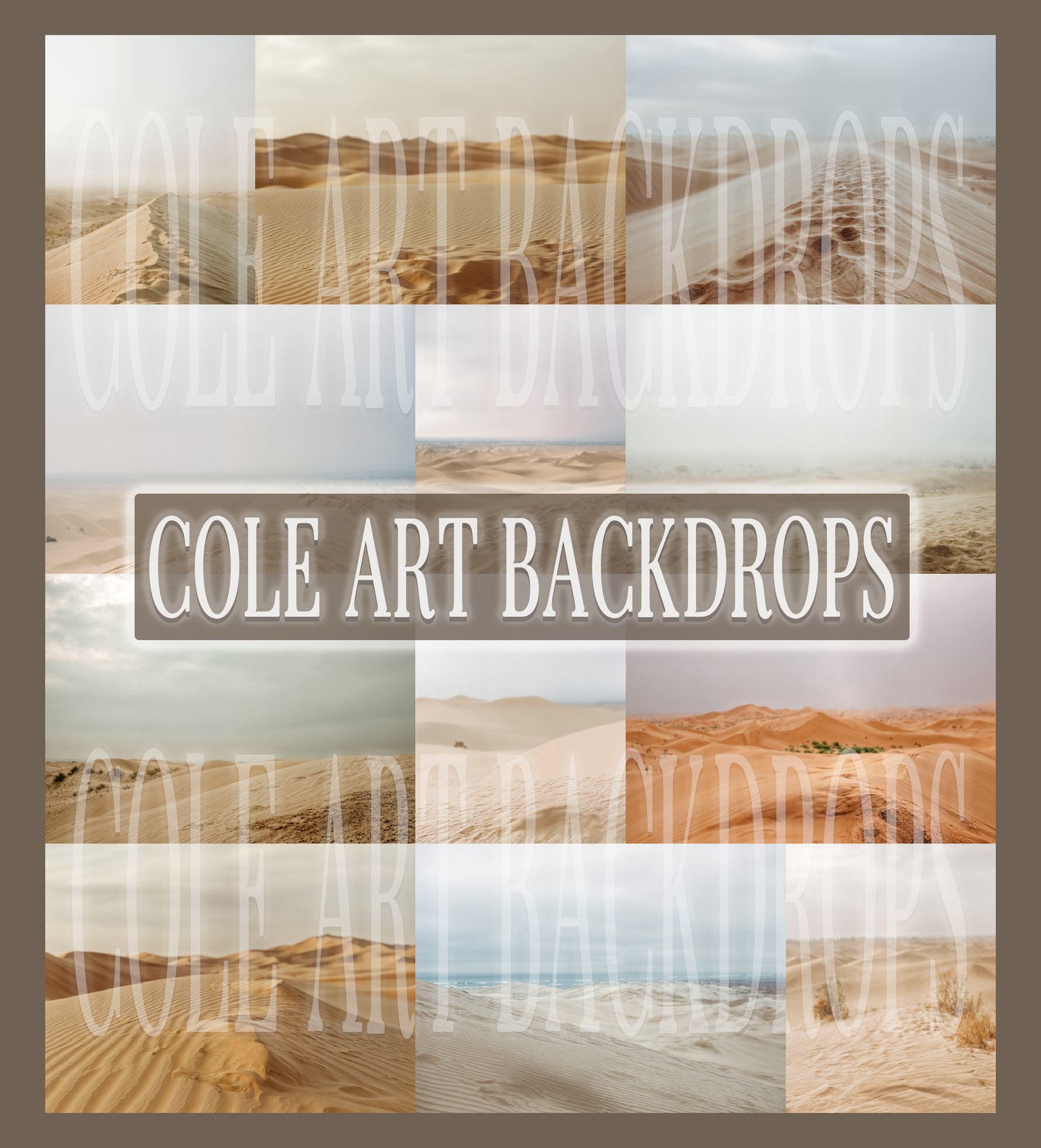 Overcast Desert Digital Backdrop Set