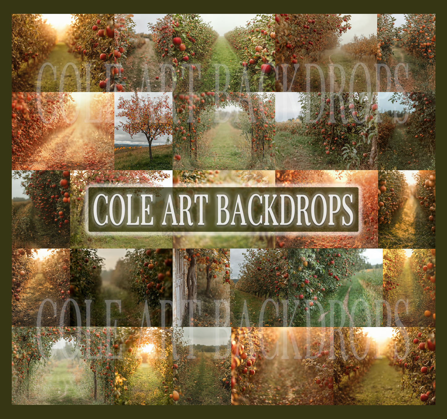 Conjunto de cenário digital Apple Orchard