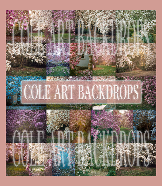 Magnolia Trees Digital Backdrop Set