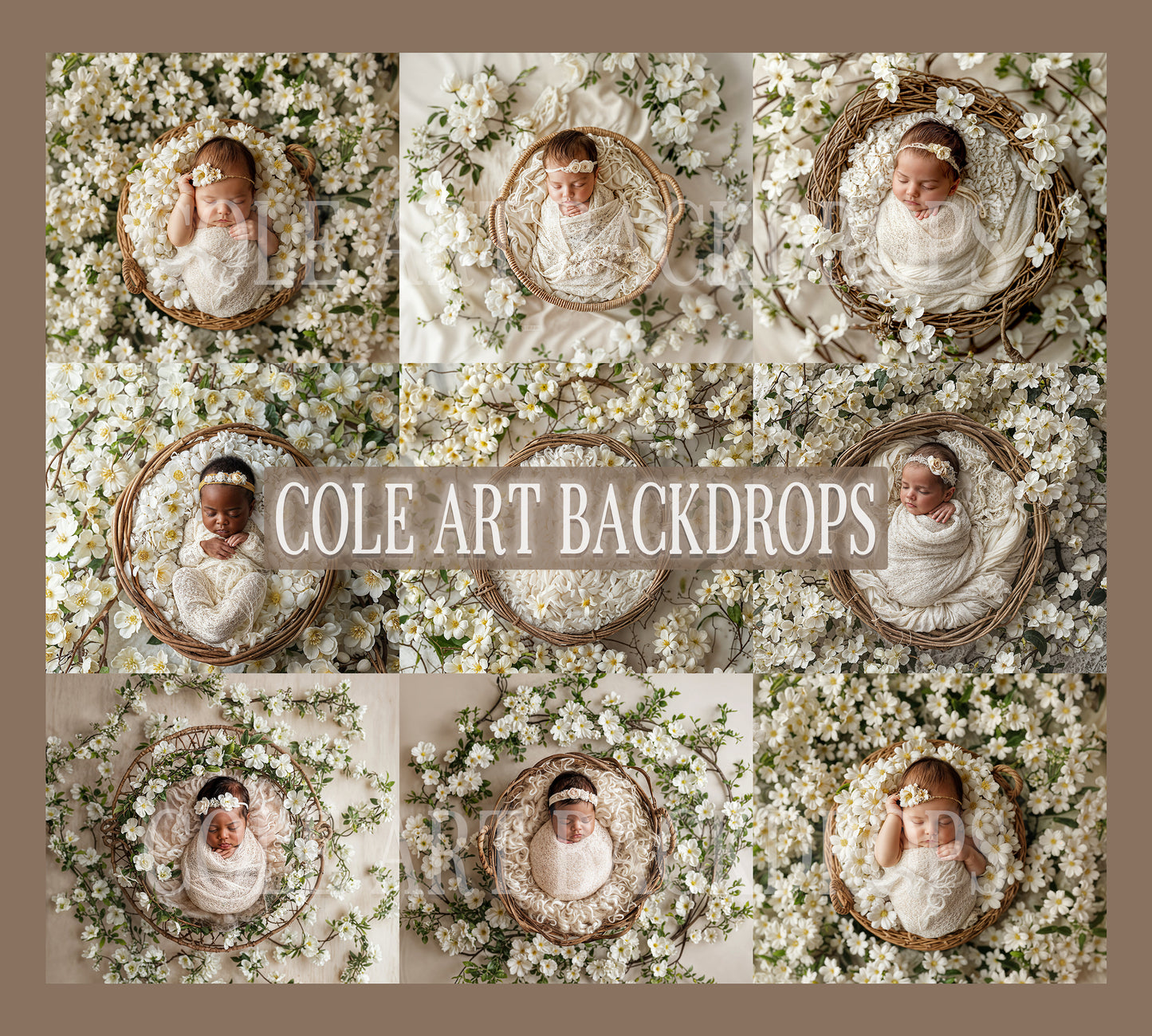 Oh Baby Beige Set, Newborn Digital Backdrops, Newborn Prop, Newborn Backdrops