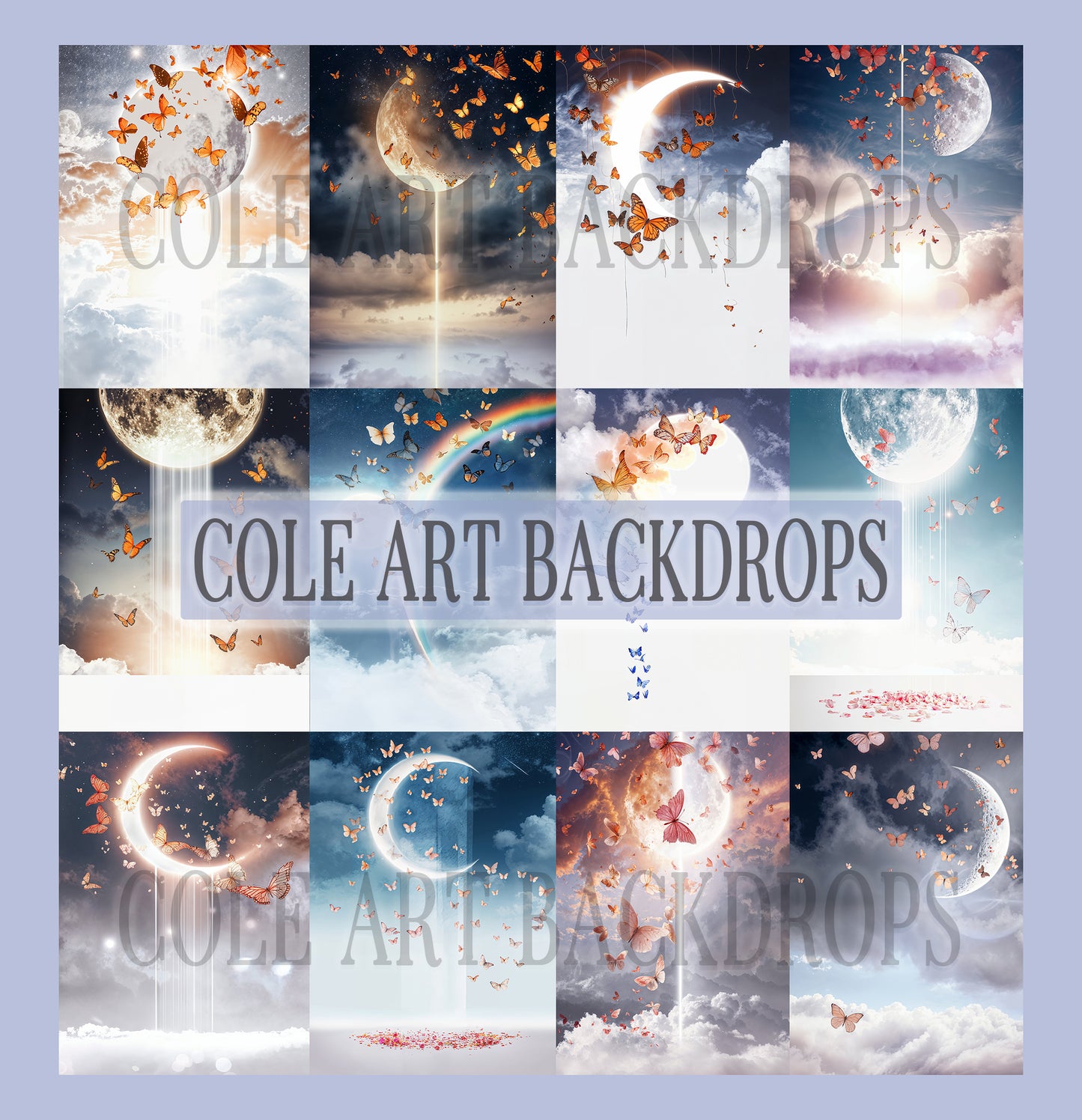 Butterfly Skies Digital Backdrop Set