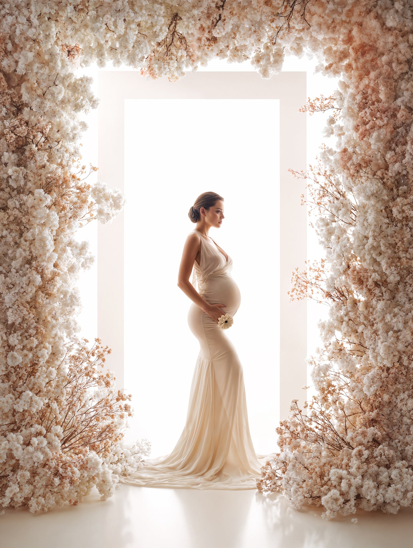 Backlit Frames TWO Digital Backdrop Set