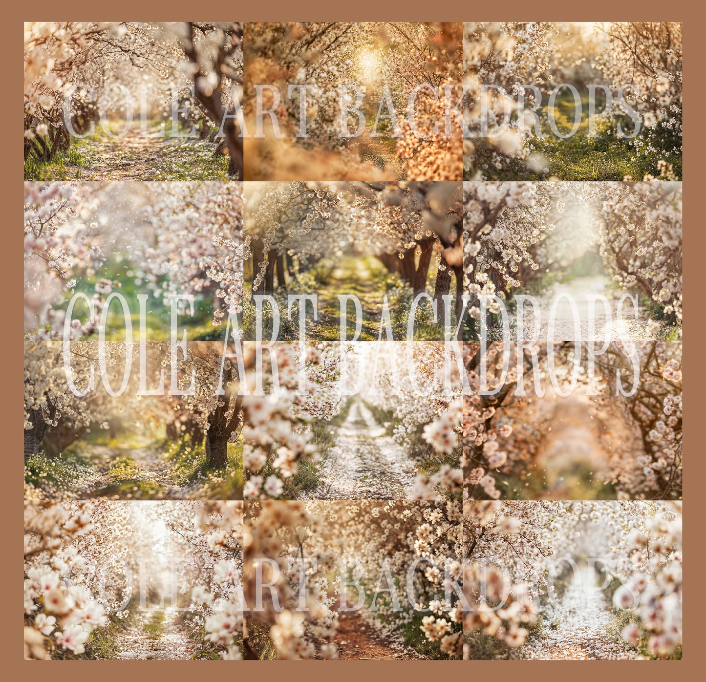 Conjunto de cenário digital de flores de amêndoa