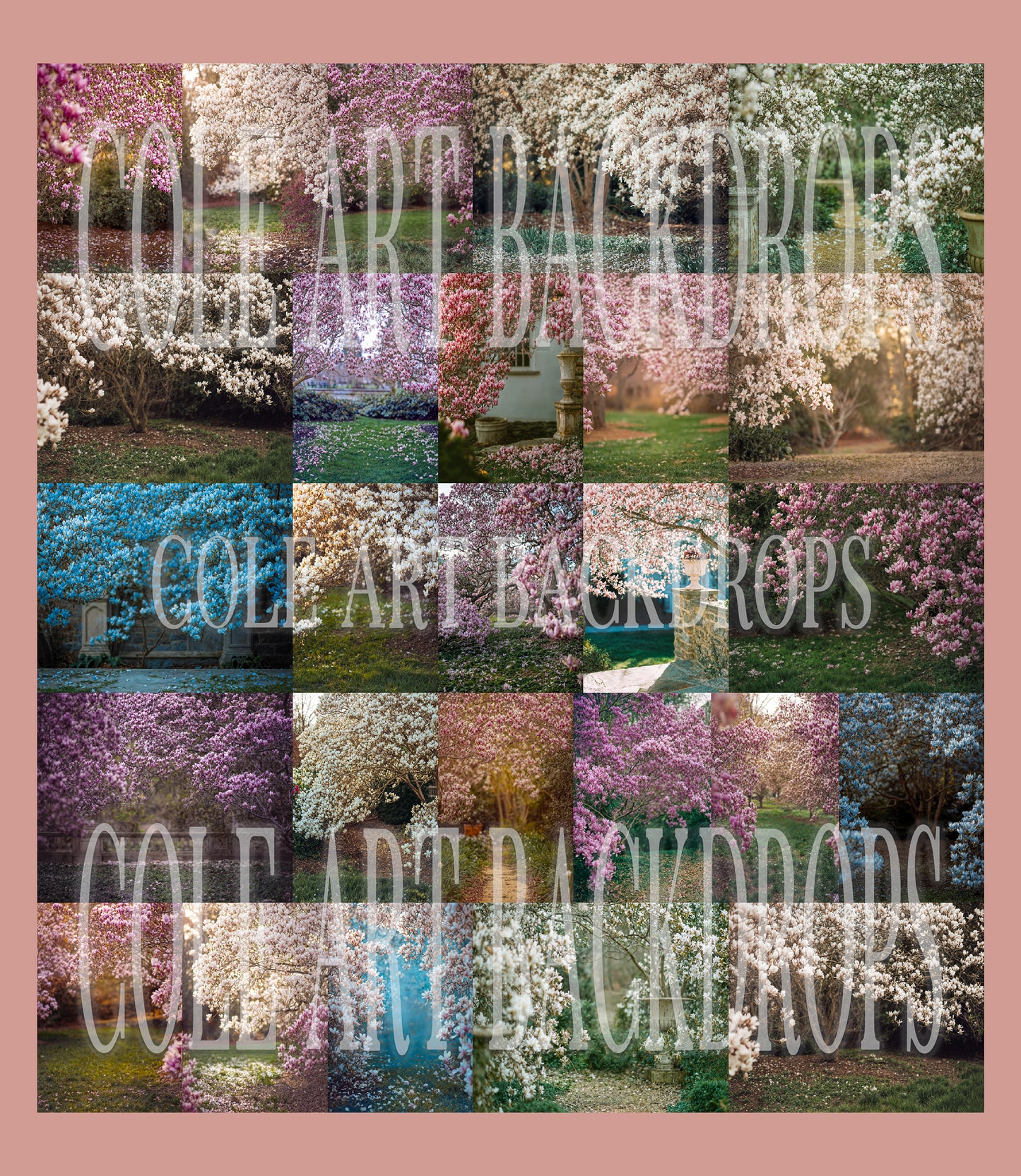 Fondo digital de árboles de magnolia