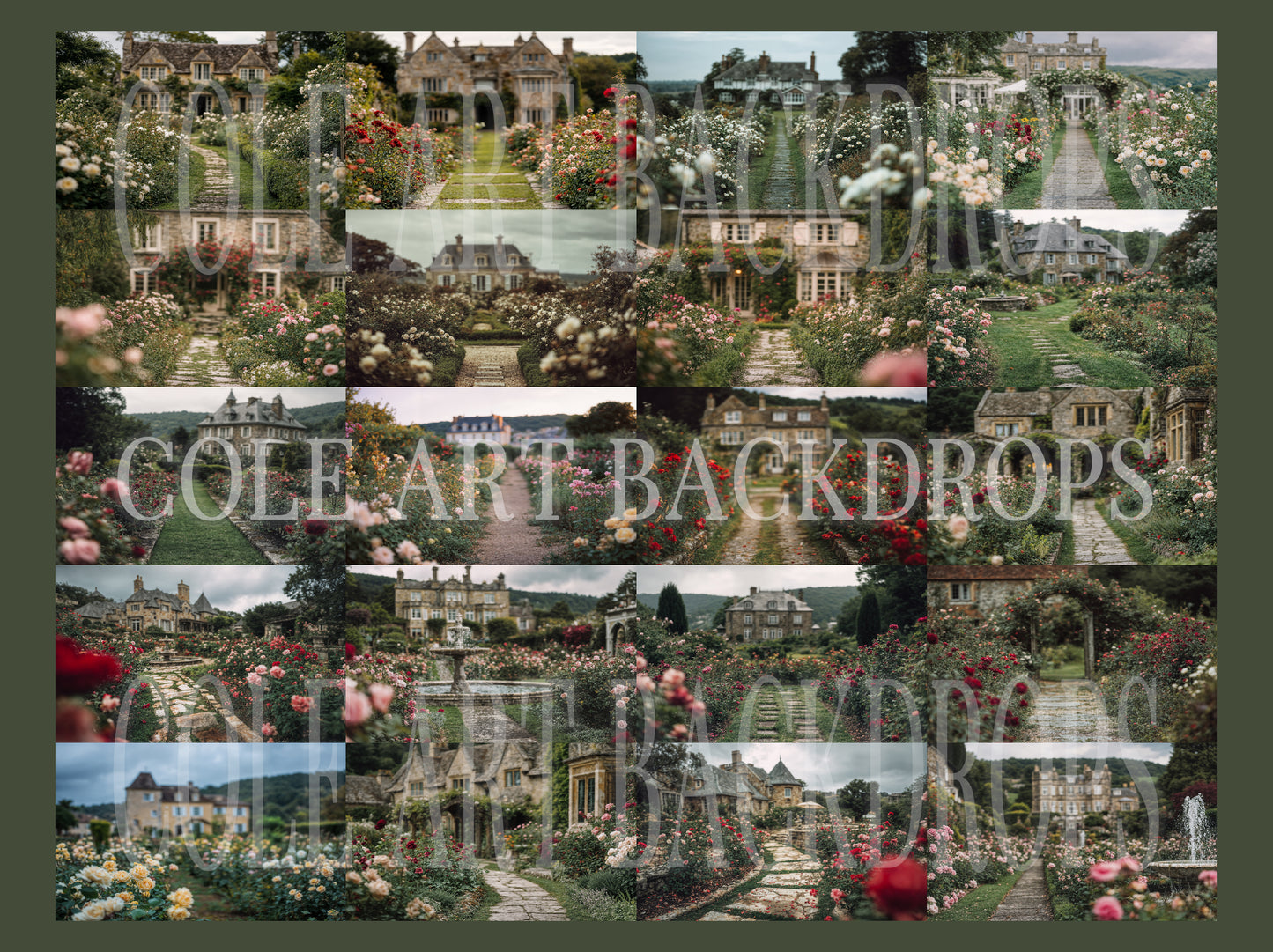 Rose House Digital Backdrop Set