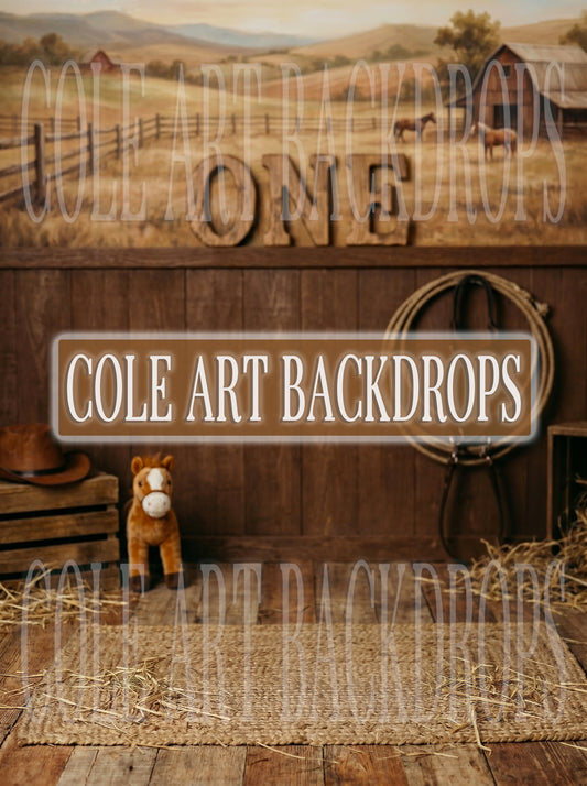 Baby Cowboy 2, Newborn Digital Backdrops, Baby Backdrop, Newborn Background
