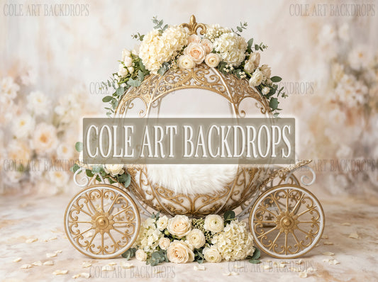White Carriage One, Newborn Digital Backdrops, Baby Backdrop, Newborn Background