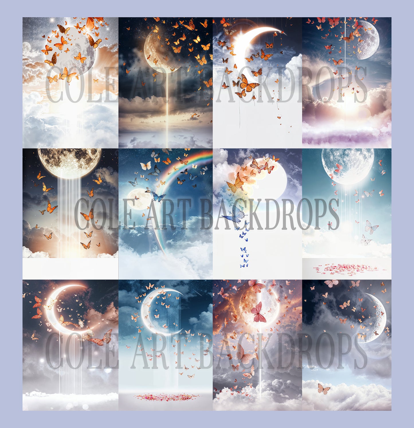 Butterfly Skies Digital Backdrop Set