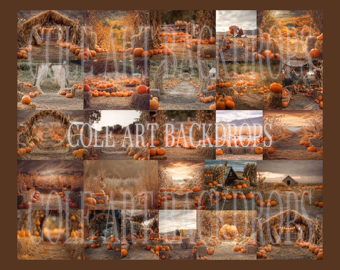 Pumpkin Patch Digital Backdrop Set
