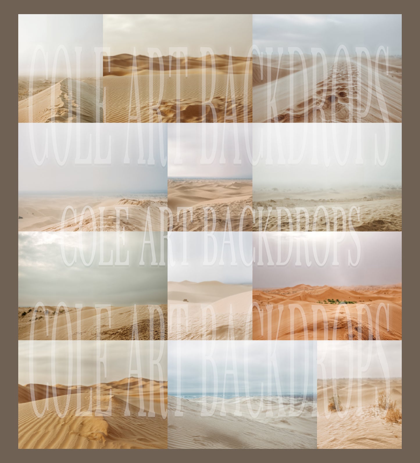 Overcast Desert Digital Backdrop Set