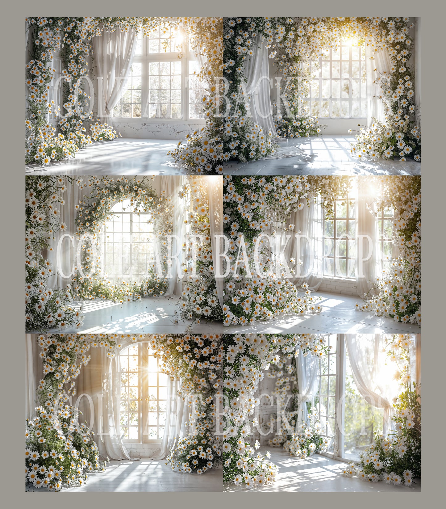 Conjunto de cenário digital Daisy Room
