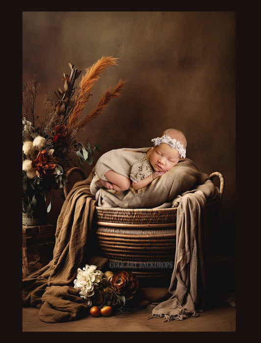 Boho Baby Set Digital Backdrops, Newborn Overlays, Newborn Props, Newborn Backdrops, Photoshop Overlays
