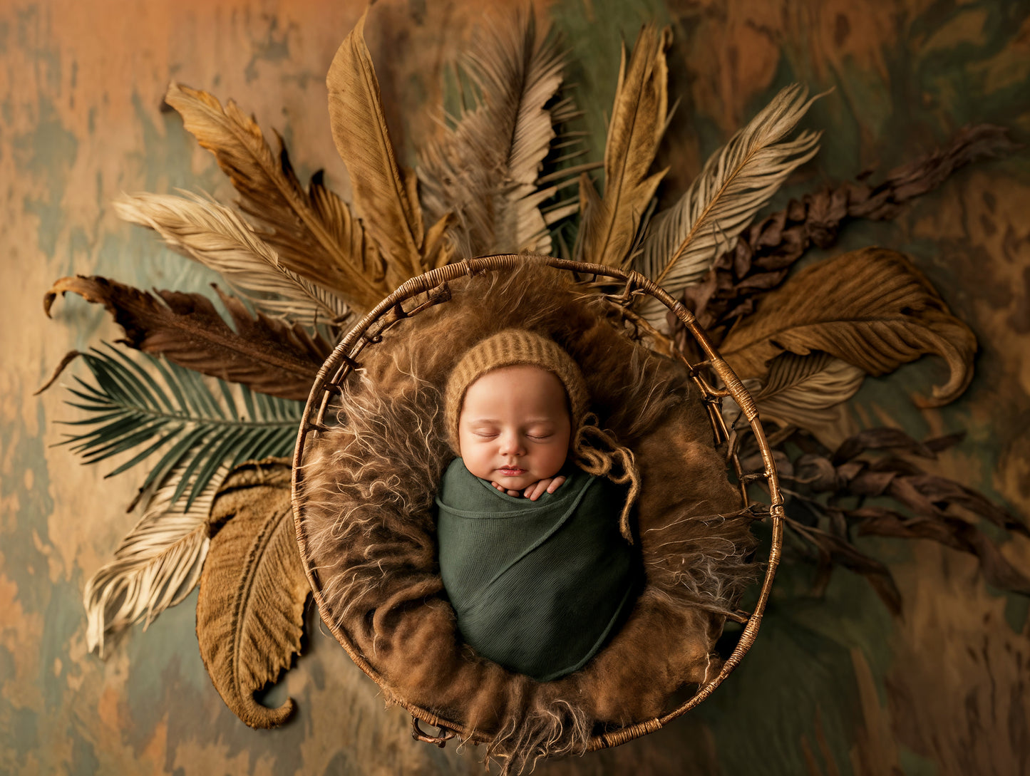 Brownie Boo Digital Background, Newborn Backdrops, Set