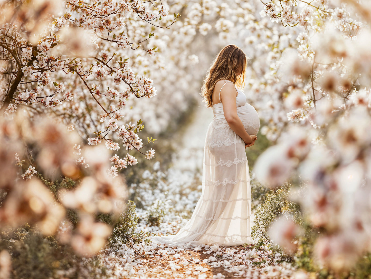 Conjunto de cenário digital de flores de amêndoa