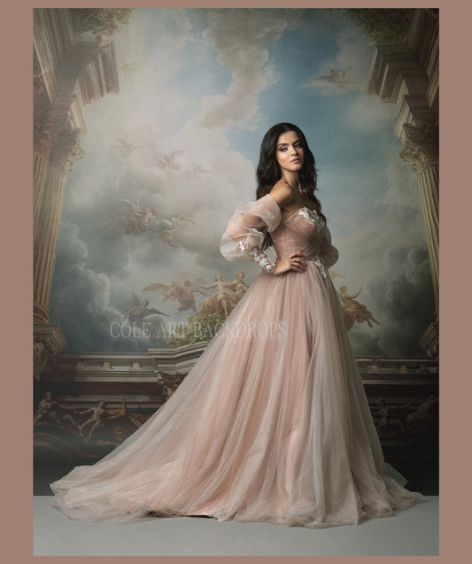 Fondos digitales con nubes renacentistas, fondos de maternidad, texturas para fondos de estudio, texturas de bellas artes, texturas de Photoshop