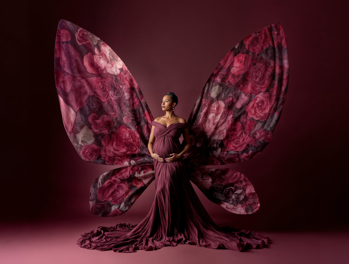 Conjunto de cenário digital Butterfly Beau
