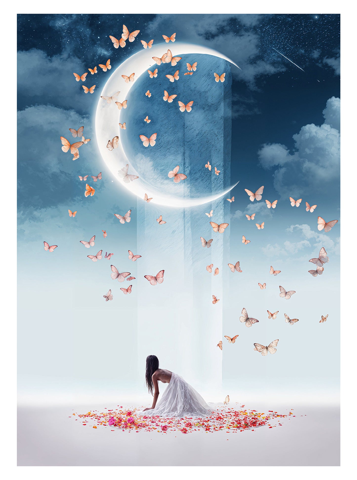 Butterfly Skies Digital Backdrop Set