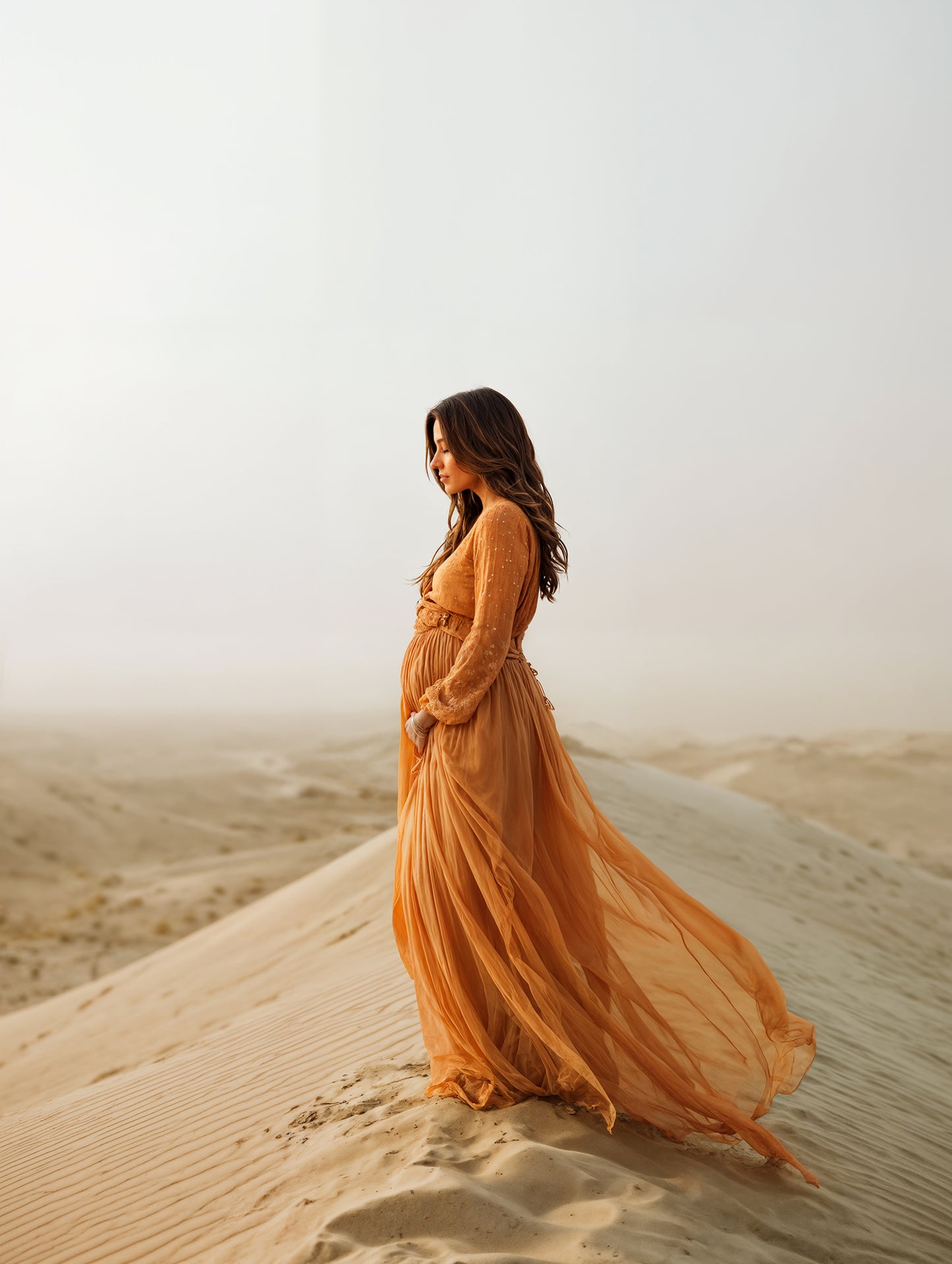 Overcast Desert Digital Backdrop Set