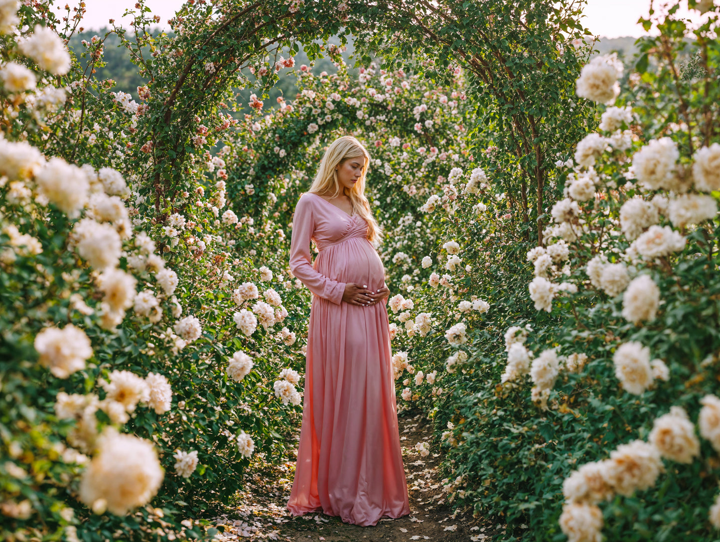 Rose Gardens Digital Backdrop Set