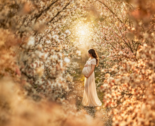 Fondo digital de flores de almendro