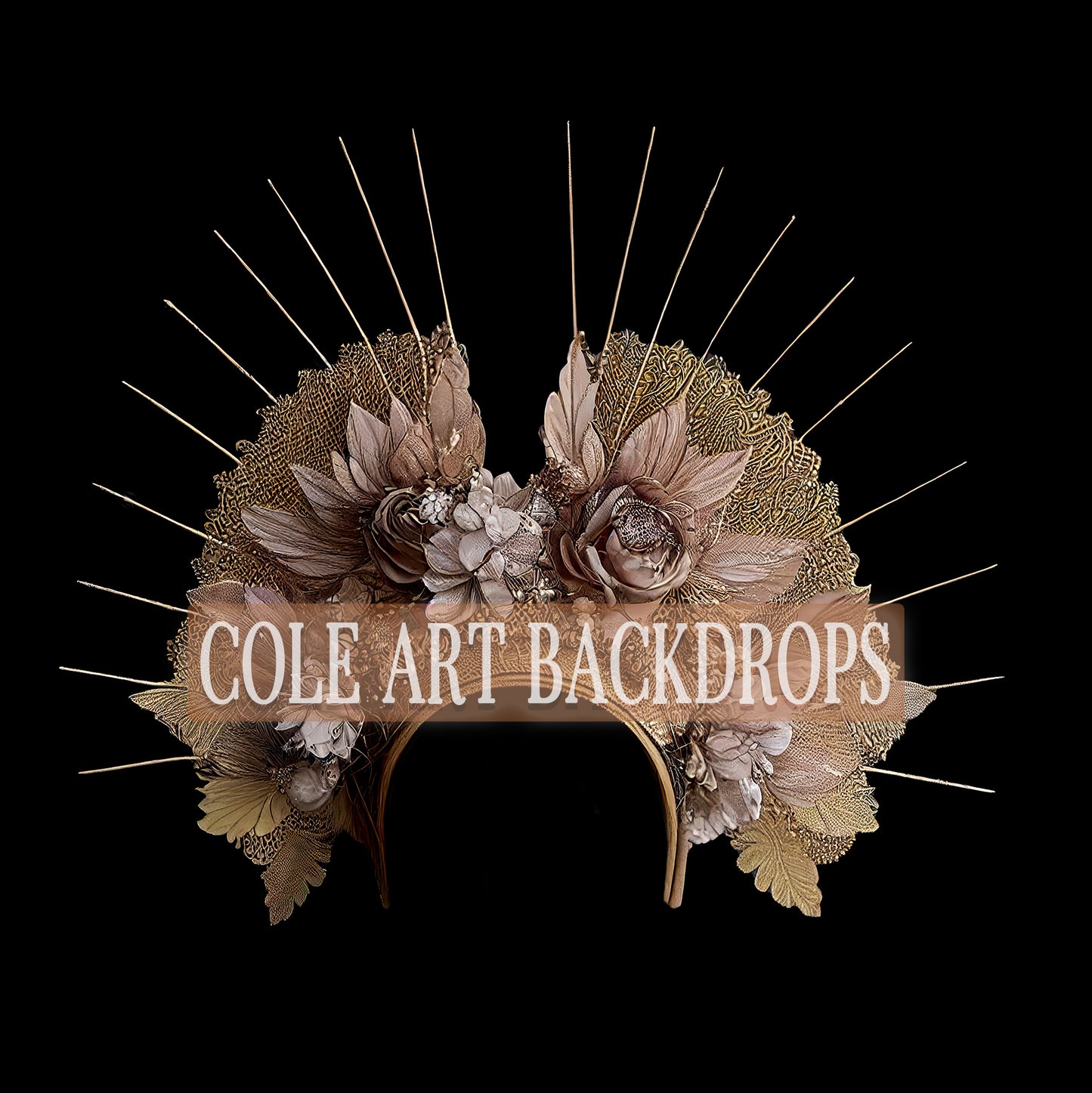 Gold Flower Spike Headpiece Digital Overlays, Maternity Backdrop Overlays, Studio Backdrop Overlays, Fine Art Textures, Photoshop Overlays