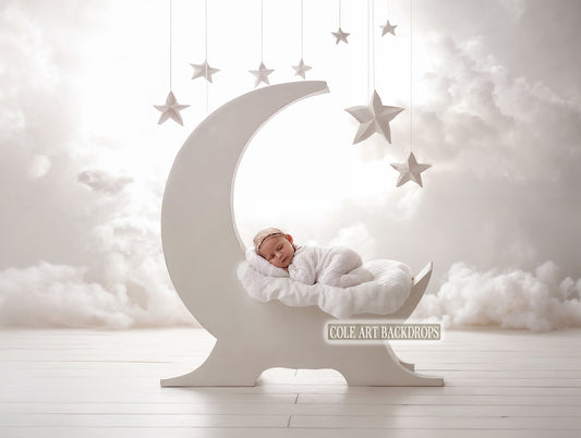 Baby Moon 4 Newborn Digital Backdrops, Baby Backdrop, Newborn Background