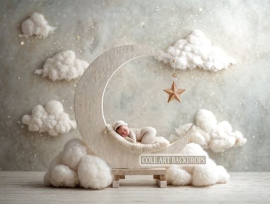Baby Moon 5 Newborn Digital Backdrops, Baby Backdrop, Newborn Background
