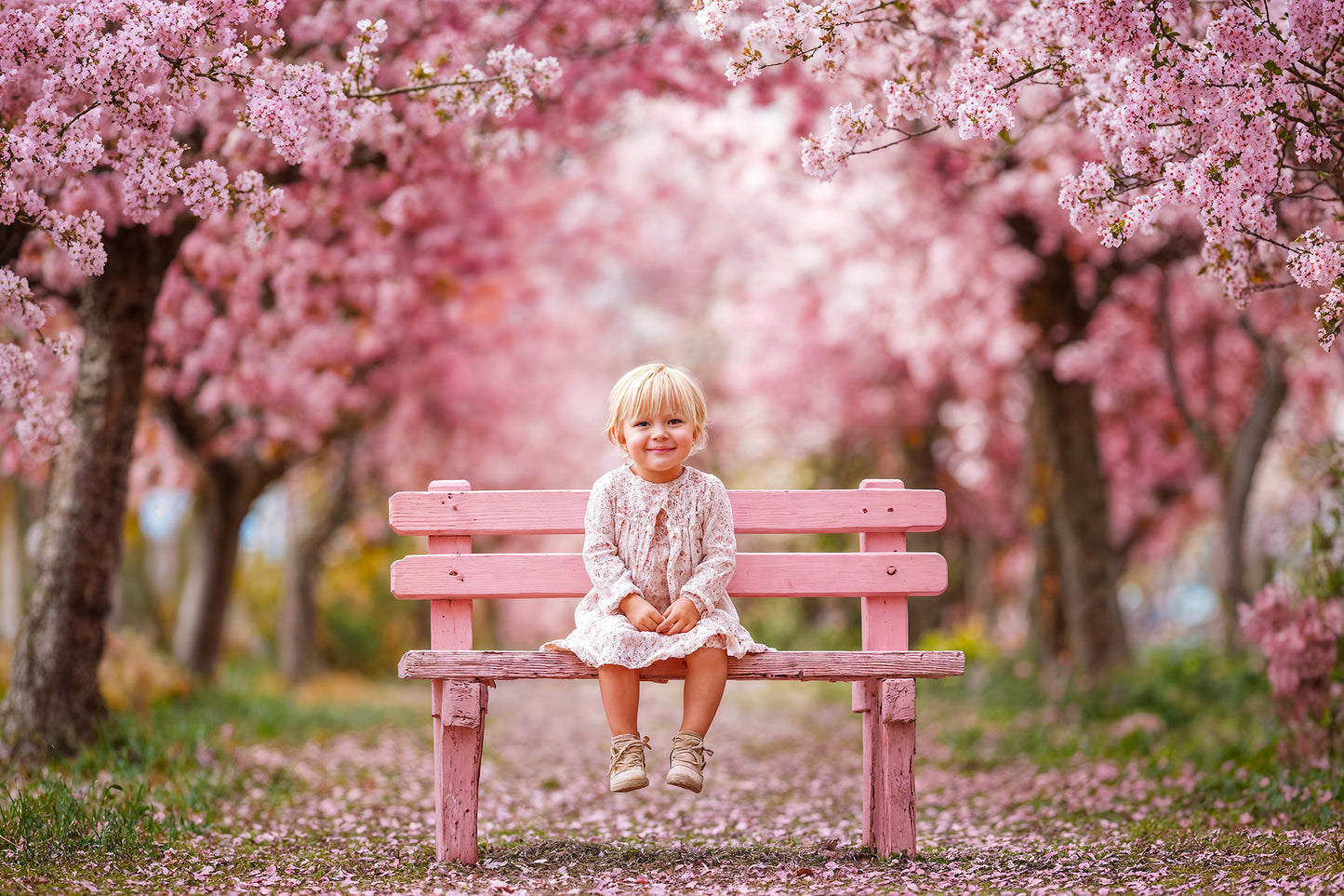 Blossom Bench Digital Backdrops Set
