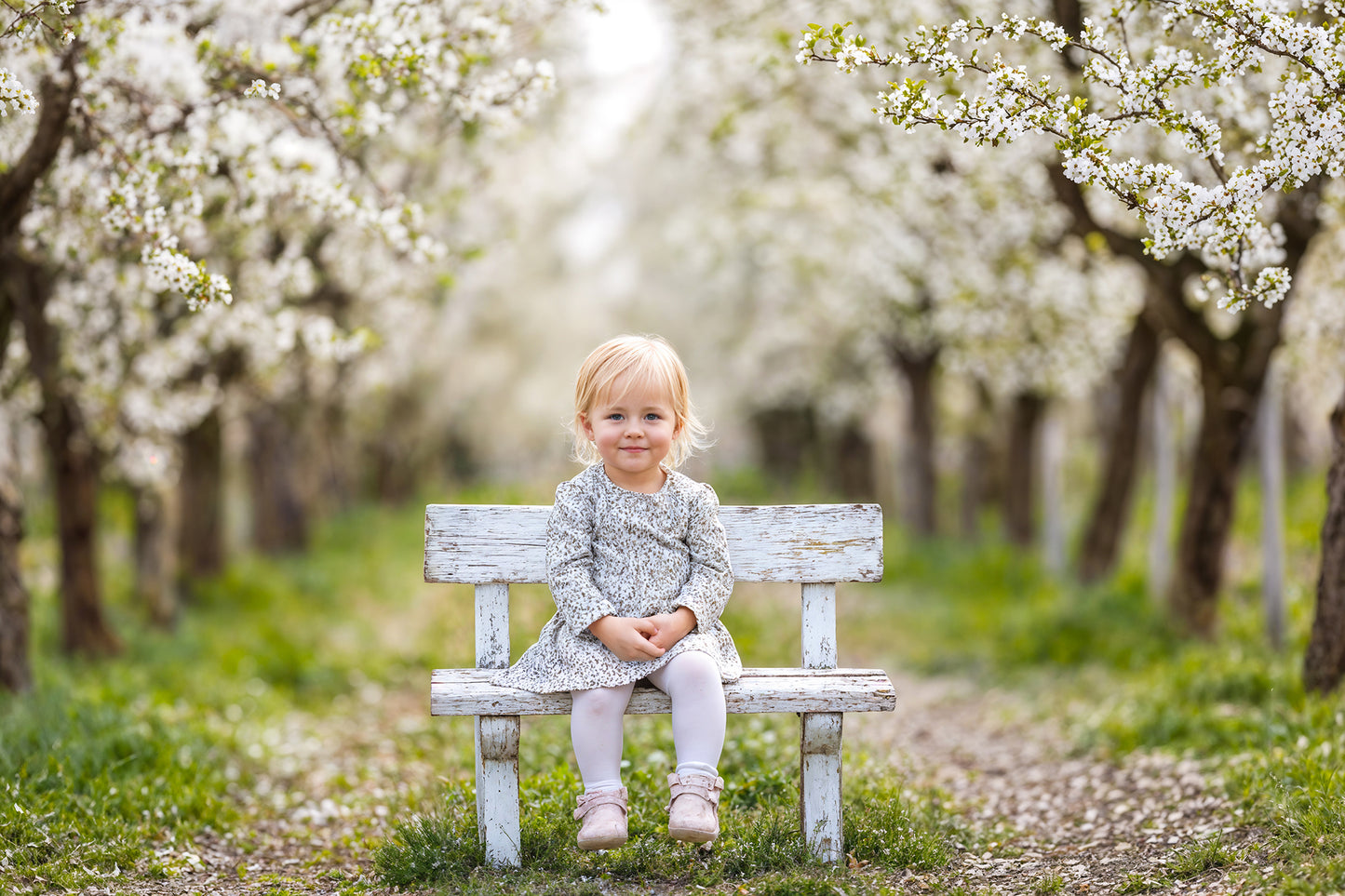 Blossom Bench Digital Backdrops Set