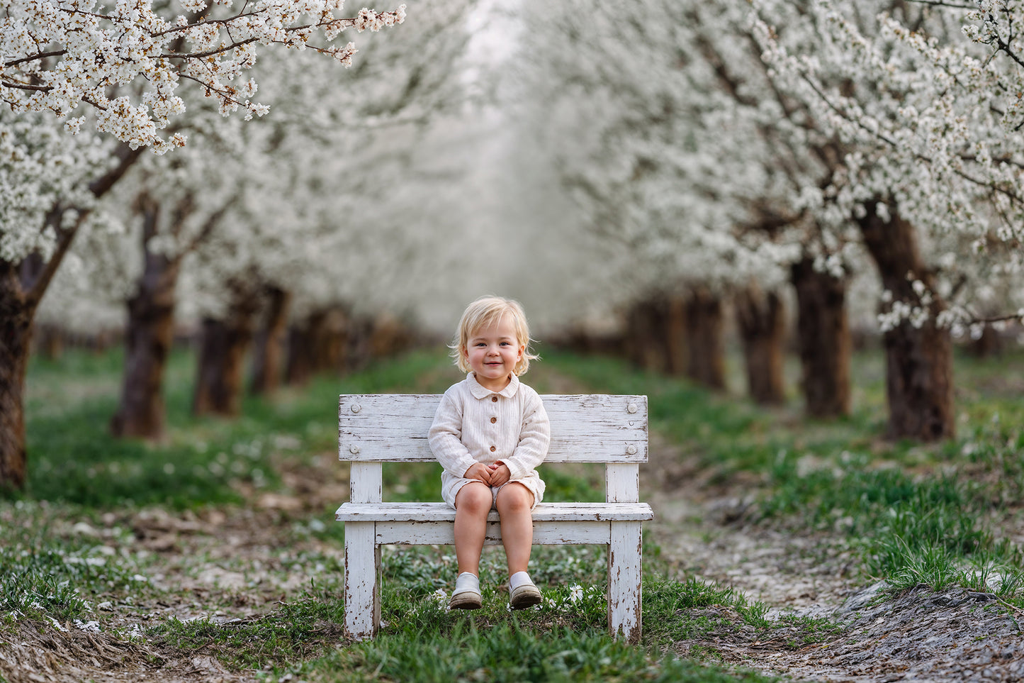 Blossom Bench Digital Backdrops Set