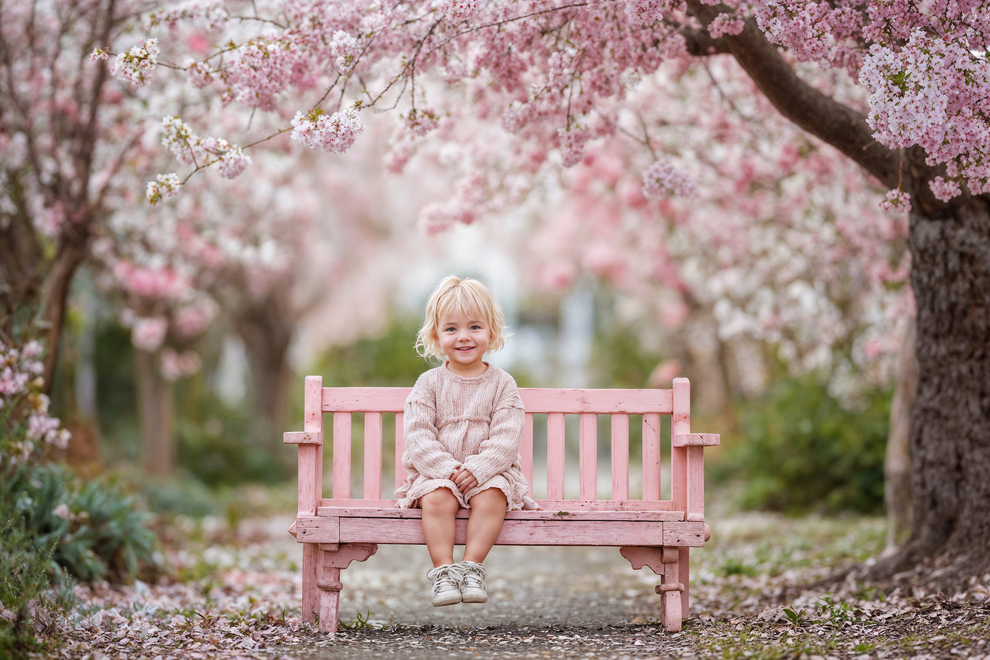 Blossom Bench Digital Backdrops Set