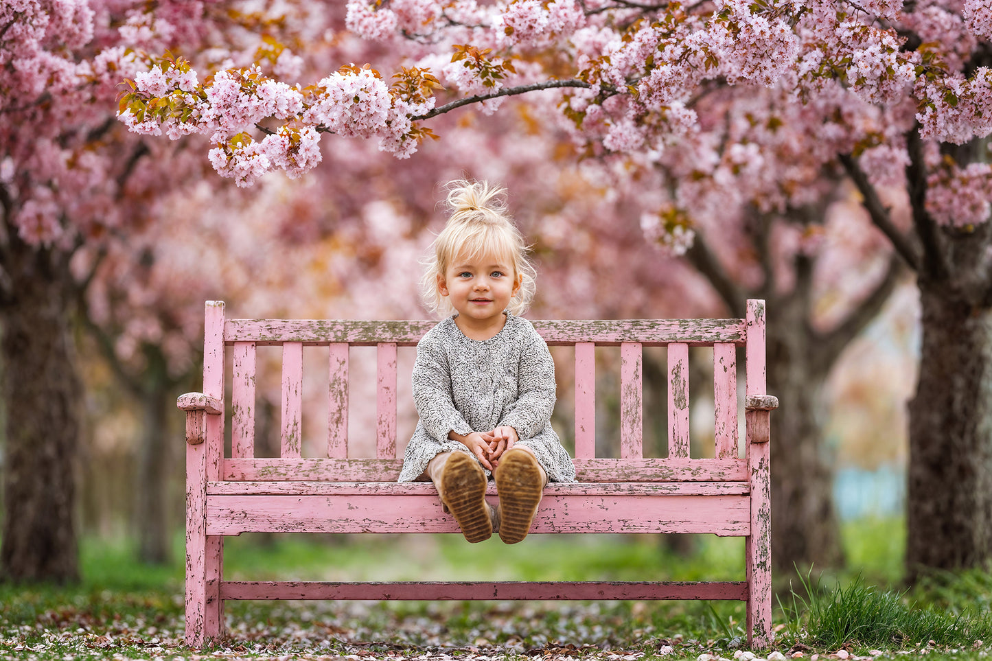 Blossom Bench Digital Backdrops Set
