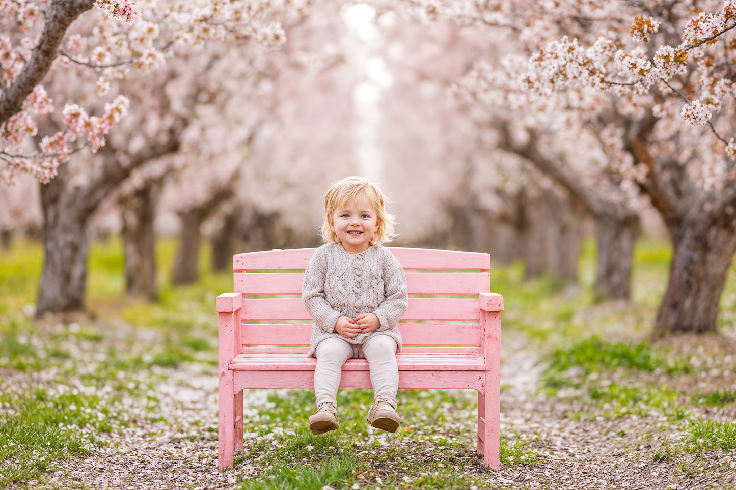 Blossom Bench Digital Backdrops Set