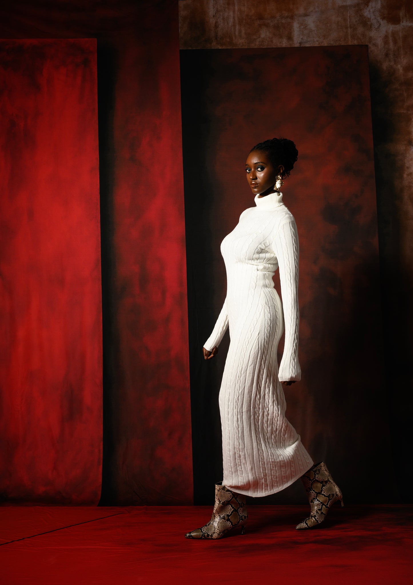 Arcos terrenales 6, fondo impreso, fondos de tela, fondo de barrido impreso, fondos para fotografía