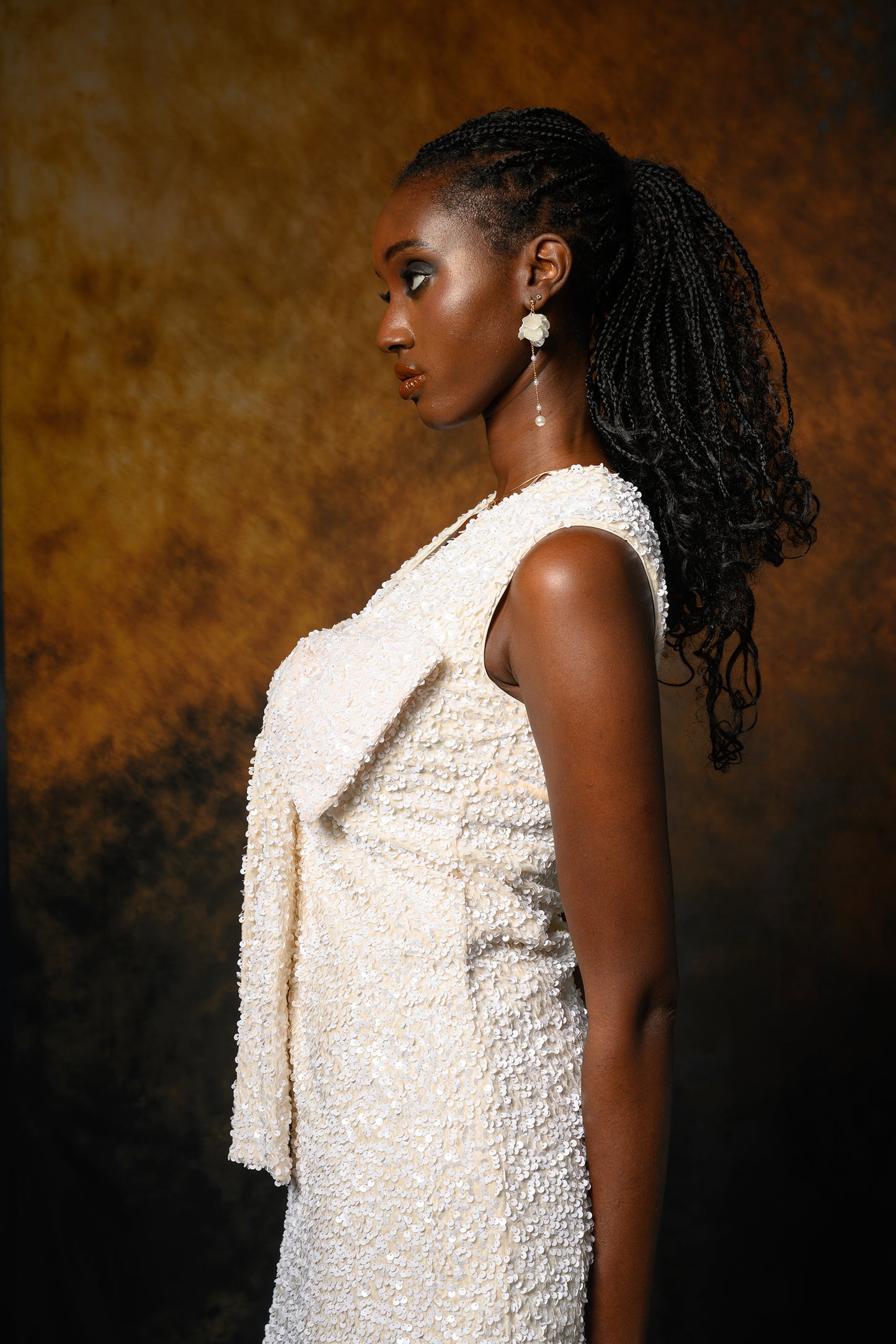 Arcos terrenales 6, fondo impreso, fondos de tela, fondo de barrido impreso, fondos para fotografía