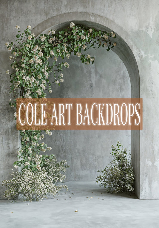 Arcos terrenales 10, fondo impreso, fondos de tela, fondo de barrido impreso, fondos para fotografía