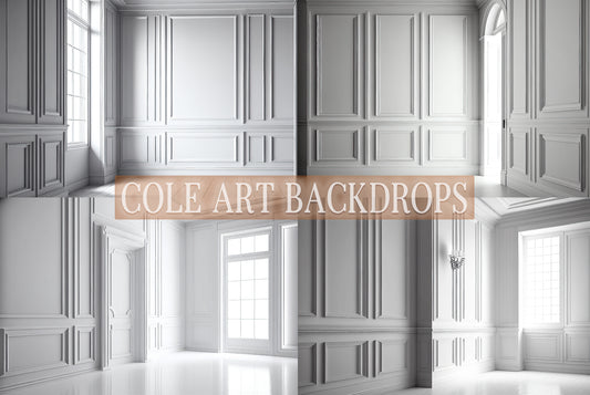 White Paneled Wall Set Digital Backdrops, Maternity Backgrounds, Studio Backdrop Textures, Fine Art Textures, Photoshop Textures