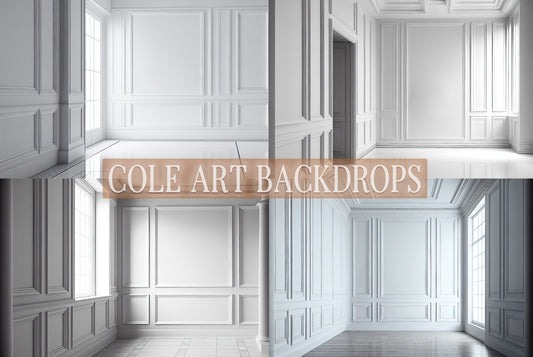 White Paneled Wall Set Digital Backdrops, Maternity Backgrounds, Studio Backdrop Textures, Fine Art Textures, Photoshop Textures