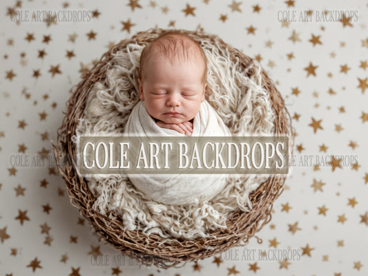 Gold Star Baby 1, Newborn Digital Backdrop, Baby Backdrop