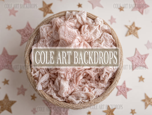 Gold Star Baby 2, Newborn Digital Backdrop, Baby Backdrop