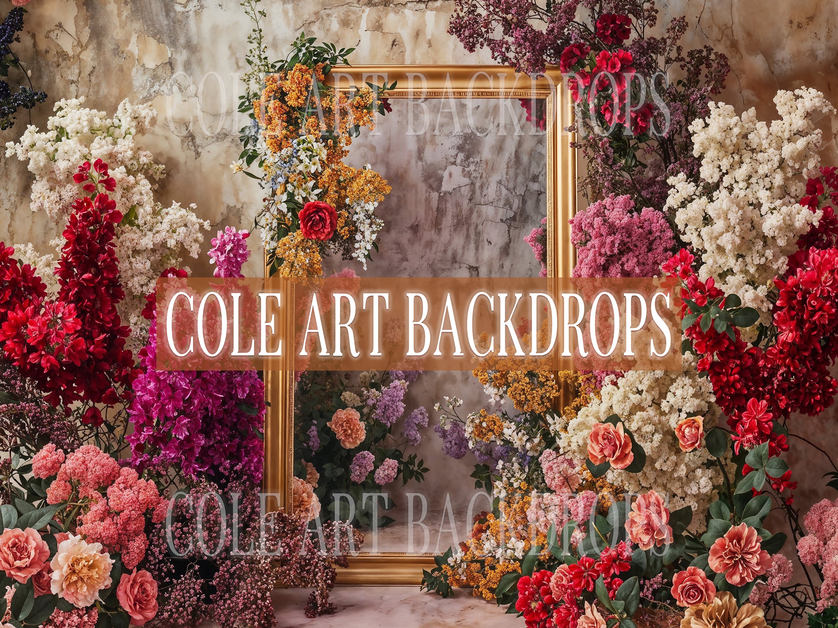Lush Frames ONE 13, Printed Backdrop, Fabric Backdrops, Photography Ba ...