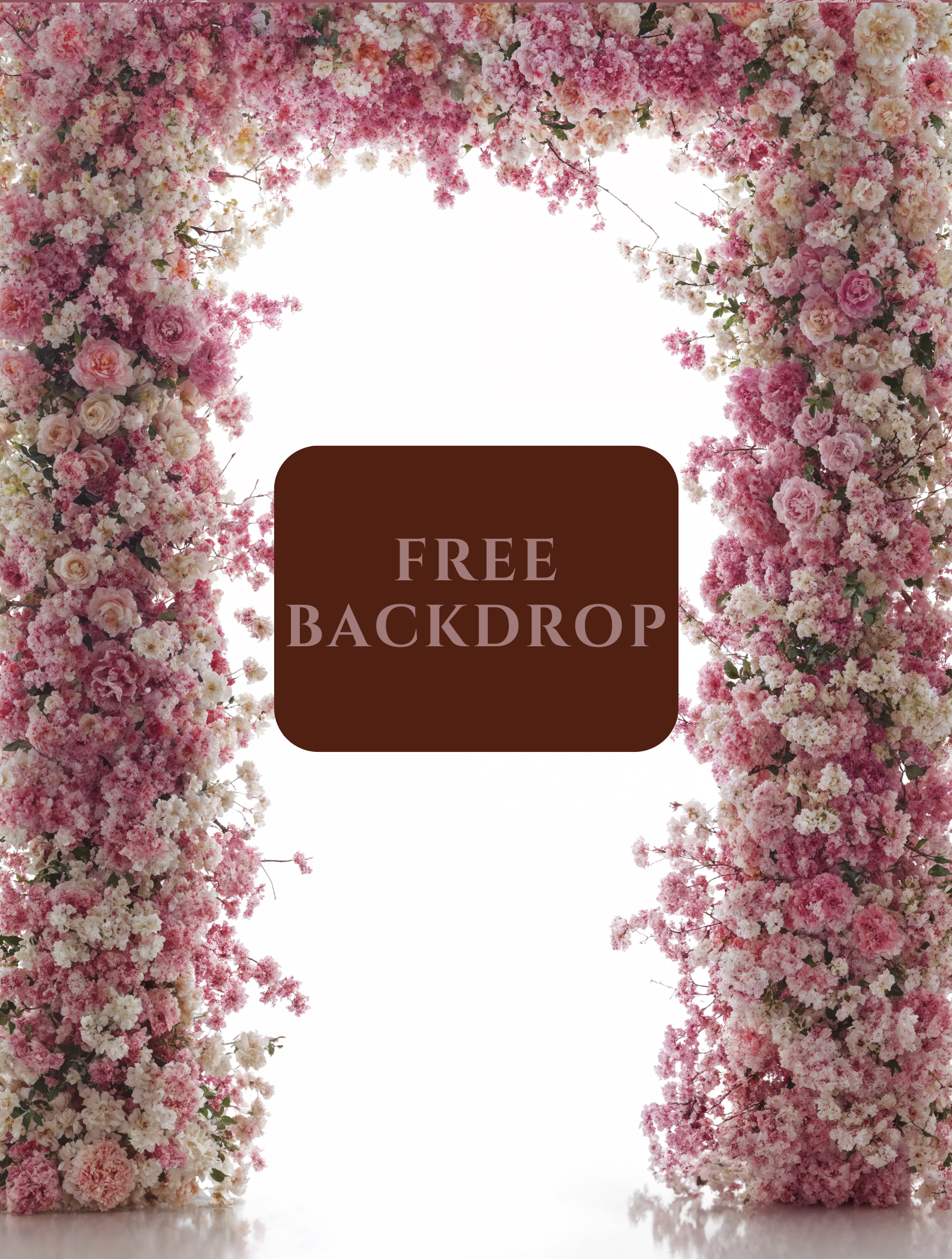 Backlit Frames TWO Digital Backdrop - FREEBIE – Cole Art Backdrops