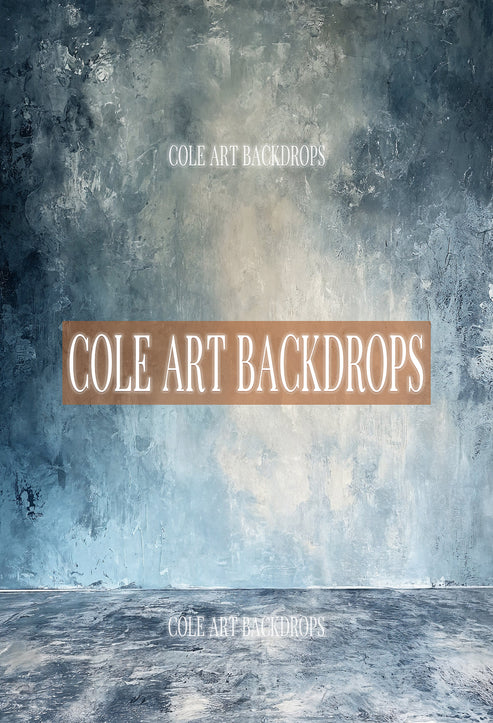 Studio Backdrops 17, Printed Backdrop, Fabric Backdrops, Sweep Backdro ...